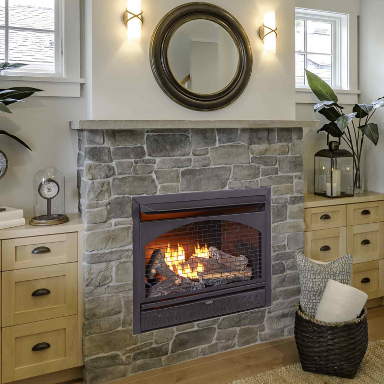 Heating Vent Free Natural Gas/Propane Fireplace Insert & Reviews